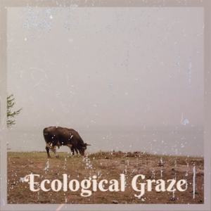 Ecological Graze