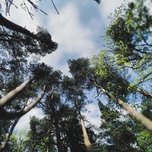 velvet (demo|Bonus Track)