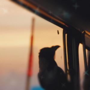 Schaue aus dem Busfenster (feat. Jazziar & yokay) (Explicit)