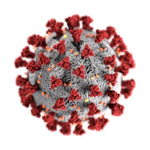 Virus (Explicit)