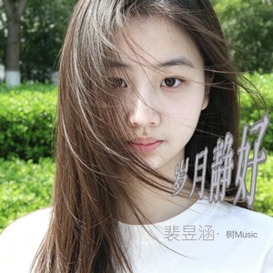 岁月静好 (伴奏) - 李树楹封面