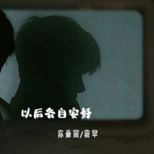 以后各自安好