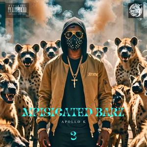 Mpisicated bars 3 (Explicit)