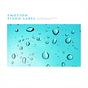 기억 미로 (Memory Maze) (Nature Ver.)