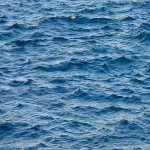 EAU2MER (feat. #####) (Explicit)