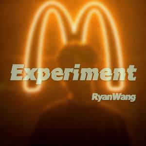 Experiment (demo)