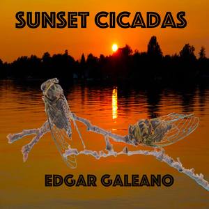 Sunset Cicadas