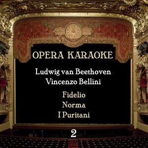 Experts Studio Orchestra - Ludwig van Beethoven - Fidelio, op. 72 : Abscheulicher! wo eilst du hin?