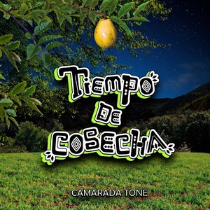 Tiempo de cosecha