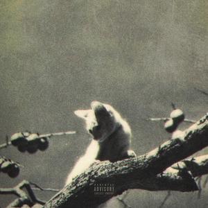 We Gon' See (feat. Almani) (Explicit)