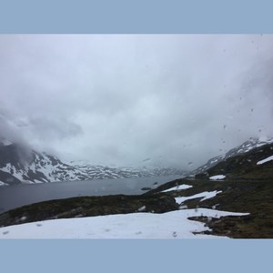 princess in the attic 阁楼公主