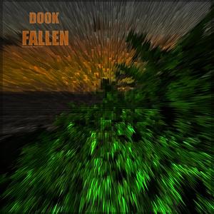 Dook - Fallen