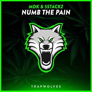 Numb the Pain (feat. Mdk)