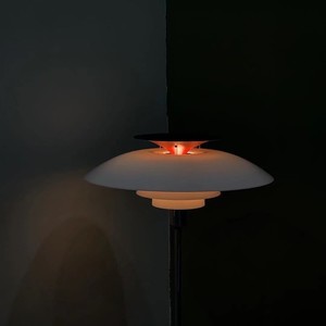 白月光与朱砂痣