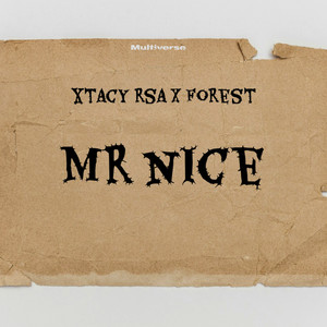 Mr Nice (Explicit)
