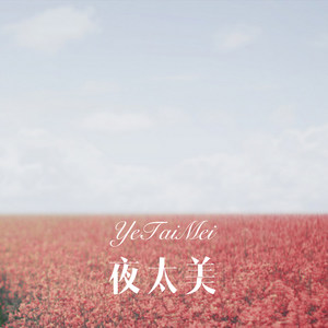 夜太美 (Remix)