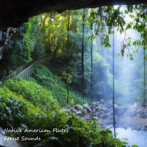 Native American Flutes (Forest Sounds)