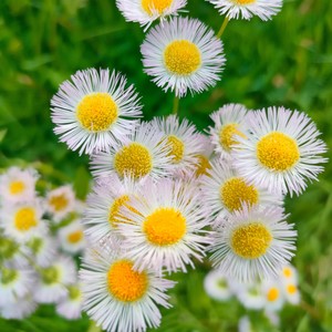 A Door for You to Find