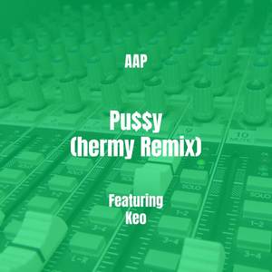 Pu$$y (hermy Remix) [Explicit]