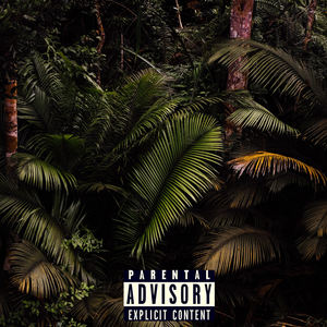 King Of The Jungle (Explicit)