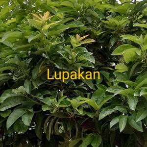 Lupakan