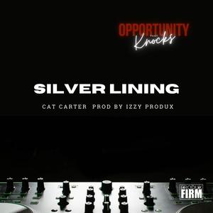 Silver Lining (feat. Cat Carter) [producer version]