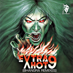 Extra Hot 9 (Bhangra Remixes)