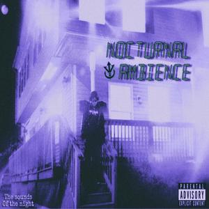 Nocturnal Ambience : Bruised & Screwed (Explicit)