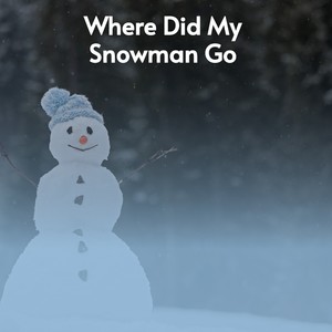 Where Did My Snowman Go