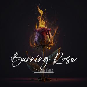 Burning Rose