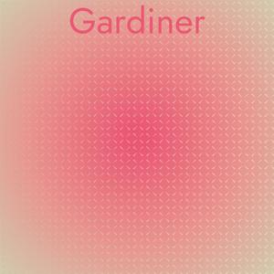 Mademoiselle Suitable