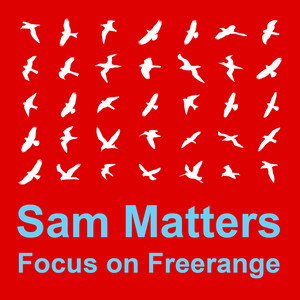 Focus On : Freerange  Sam Matters