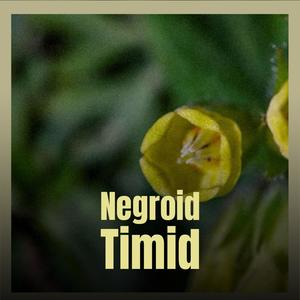 Negroid Timid