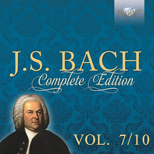 Netherlands Bach Collegium - Wo gehest du hin?, BWV 166 - II. Aria. Ich will an den Himmel denken (Tenore)