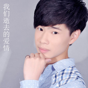 我们逝去的爱情