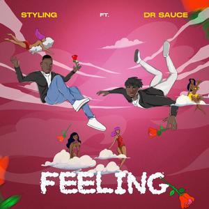 Feeling (feat. Dr.Sauce) [Explicit]