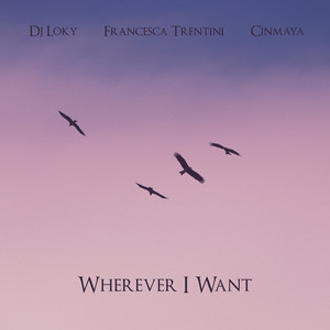 Wherever I Want (Extended Mix)