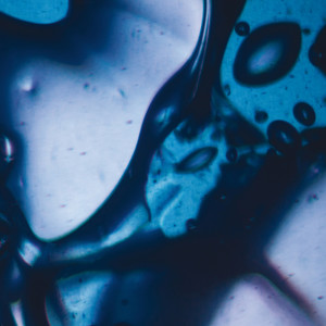 Under This Wasted Sky