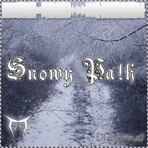 Snowy Path