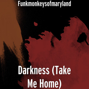 Darkness (Take Me Home)