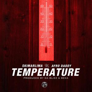 Temperature (feat. Afro jiggy)
