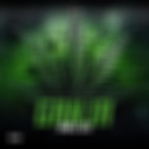 ***** (Explicit)