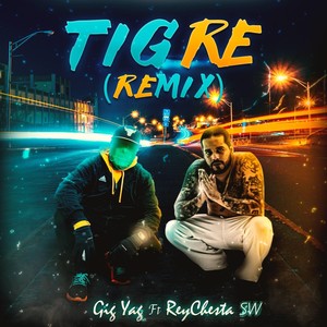 Tigre (Remix) [feat. Reychesta SW] [Explicit]