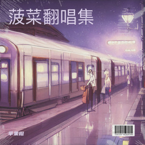 伊斯坦堡封面