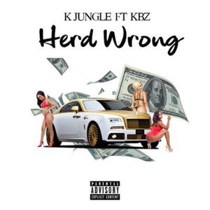 Herd wrong (feat. KBZ 2x) [Radio Edit]