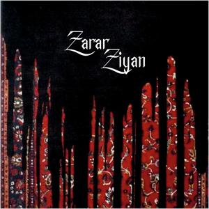 Zarar Ziyan