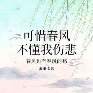 可惜春风不懂我伤悲 (春风也有春风的愁)-沧桑老叔