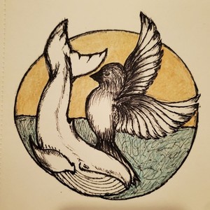 Whales & Birds