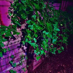 Same Color Tee(feat. Soberpack London) (Explicit)