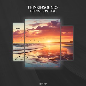 Dream Control (Original Mix)